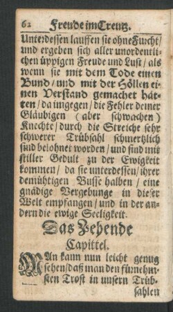 Das Zehende Capittel.