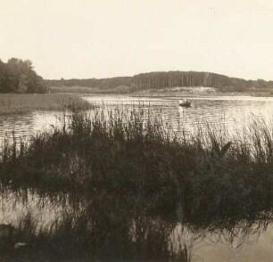 Griebnitzsee, südlich Wannsee