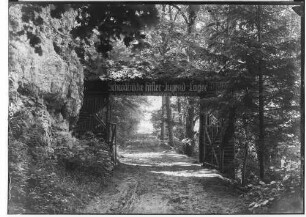 Schwäbisches Hitler-Jugendlager im Donautal am Jägerhaus unterhalb von Schloß Bronnen; Aus Holz gezimmertes Eingangstor