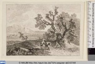Landschaft