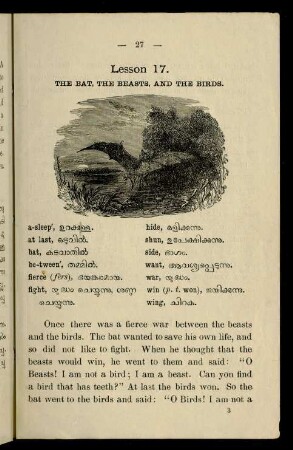 27-28, Lesson 17. The bat, the beasts, and the bords