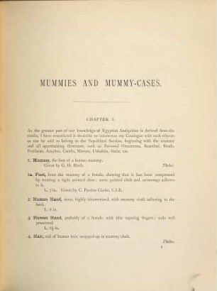 A Catalogue of the Egyptian Antiquities, 1