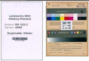 Entnazifizierung Wilhelm Burgsmueller, geb. 05.05.1899 (Kaufm.Angest.)