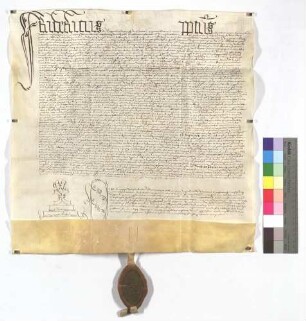 Vorladung an Schultheiß, Richter und Schöffen von Mühlhausen (Mülhausen) vor das geistliche Gericht in Speyer, weil sie das Kloster Maulbronn in dem Besitz eines Waldes beeinträchtigt haben.