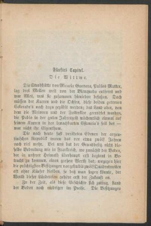 Fünftes Capitel. - Die Wittwe.