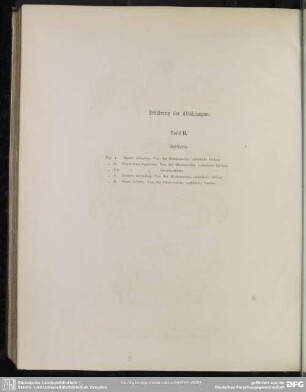 Erklärung der Abbildungen. Tafel II