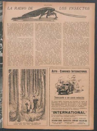 La radio de los insectos