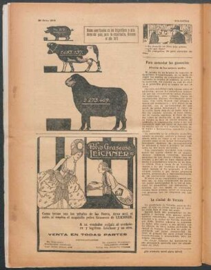 Reses sacrificadas en los frigoríficos y saladeros del país, para la exportación, durante el año 1917.