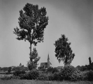 Archivfotografie "oberrhein_tiengen_5033"