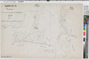 Elte (Rheine), Rheine r.d.Ems (Rheine), Zusammenlegung Heine, Urkarte I Elte Flur 14, 1-2