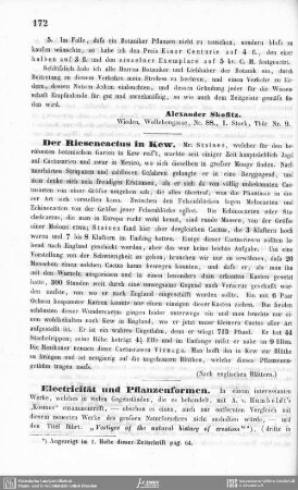 Electricität und Pflanzenformen.