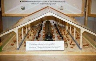 Modell des Legehennenstalles Variante "Bodenhaltung mit Auslauf"