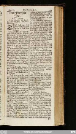 Der Prophet Joel.