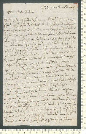 Brief von Auguste Semler an Antonie von Chamisso
