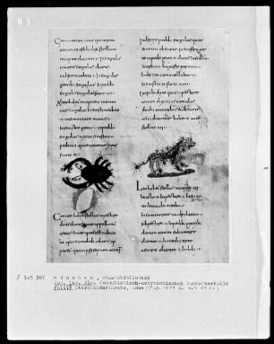 Komputistisch-Astronomisches Sammelwerk — Bildseite mit zwei Miniaturen, Folio 117recto