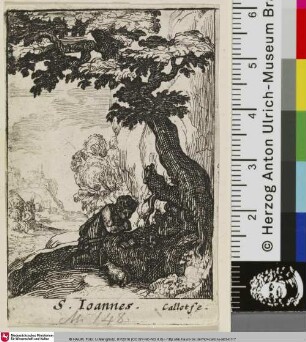[Johannes der Täufer; Saint Jean-Baptiste]