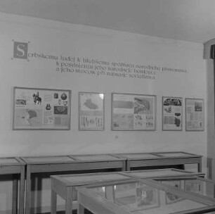 Sorbisches Literaturmuseum im Haus der Sorben : Serbski literarny muzej w Serbskim domje w Budyšinje : Bautzen / Budyšin