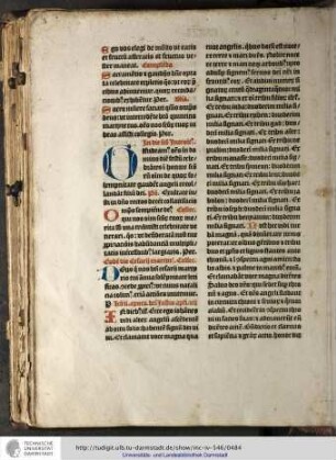 Introitus. Gaudeamus omnes in domino...
