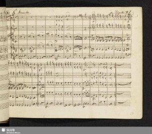 399. Richter, J.C.: La Doucette