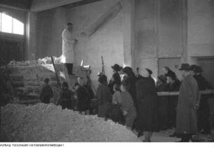 Dresden, Neustadt und Coschütz. Wasserwerk Coschütz - Wasserwerk Saloppe, April 1950