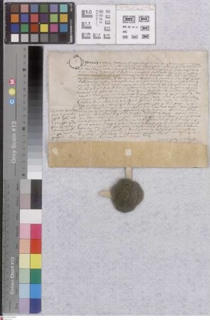 Pfungstadt: Präsentation, Investitut