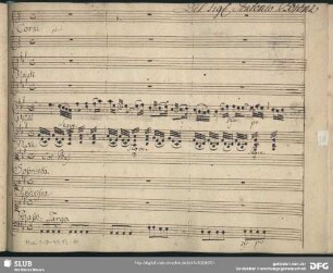 Sofonisba. Excerpts - Mus.1-F-49,12-10 : S (2), orch, b