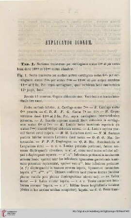 Explicatio iconum
