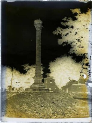 Hohe Säule mit Storchennest