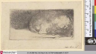 [Der schlafende Hund; Sleeping Puppy; Le petit chien endormi]