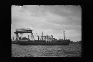 Catherine Sartori (1954), Frachtschiff, Sartori & Berger, Kiel, Bau-Nr. 570