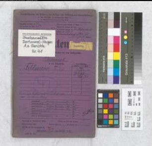 Angeklagter: Feldmann, Friedrich: Landfriedensbruch (Plünderungen in Hombruch am 02.07.1919)