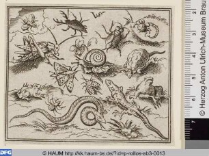 Insekten und Reptilien