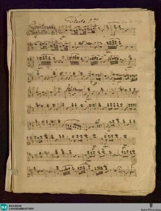 Arias - Don Mus.Ms. 1510g