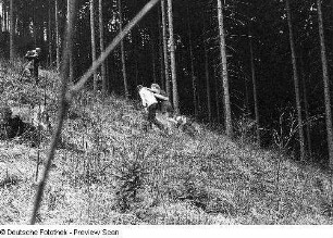 Bildergeschichte. Ein Paar beim Spazierengehen in der Natur