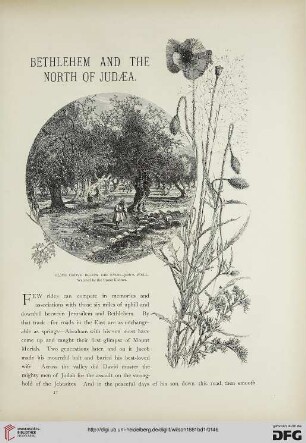 Bethlehem and the north of Judaea