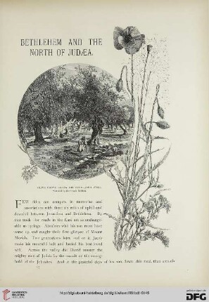 Bethlehem and the north of Judaea