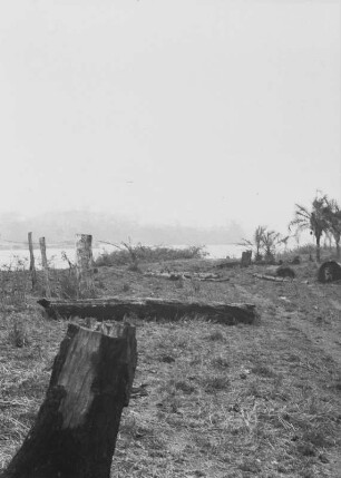 Südufer des Rio Grande : Südliches Ufer mit Grasland und Bäumen am Rio Grande.