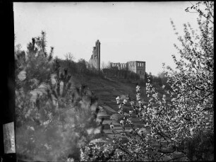 Klosterruine Limburg Südseite