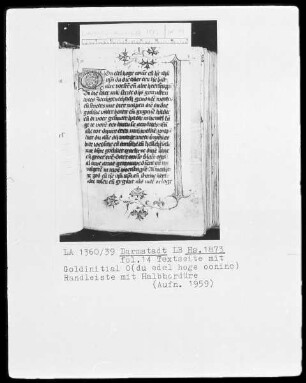 Tagzeiten — Initiale O (du edel hoge oonino) und Randleiste, Folio 14recto