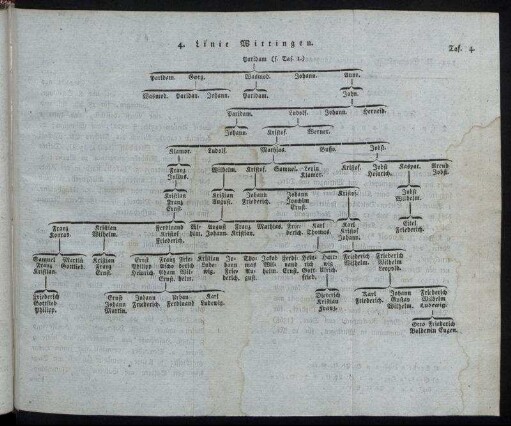 Taf. 4. Linie Wittingen