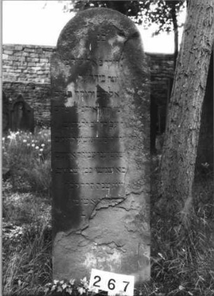 Grabstein 267 (Index: 99629768) Material: Sandstein Zustand: stark verwittert und abgeblättert Maße HxBxT: 139x50x11 cm Beschreibung: Stele mit eingezogenem Rundbogenabschluß: Grabstein 267