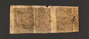 Recto (6v und 3r)