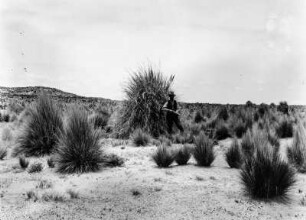 Steppenlandschaft : Steppenlandschaft auf der Isla de Panza. Im Mittelgrund ist ein Mann mit einem Gewehr zu sehen.