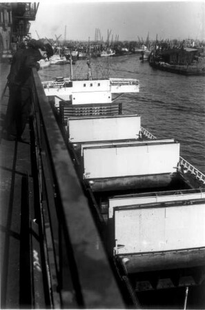 Hamburg. Freihafen. Das schwedische Frachtschiff "Cassiopeia" wird entladen. Es hat Steinkohle nach Hamburg gebracht