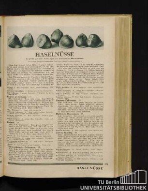 Haselnüsse