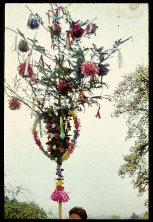 Palmen (Detail)