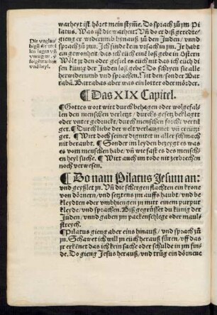 Das XIX Capitel.
