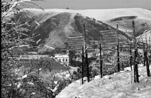 Vogtsburg: Verschneiter Kaiserstuhl, Badberg, Vordergrund Reben