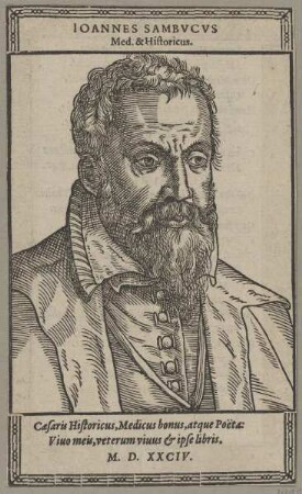 Bildnis des Ioannes Sabvcvs