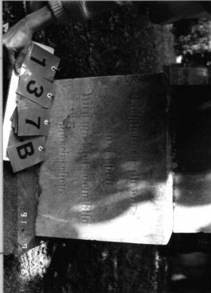 Grabstein 137 [Hahn S. 96 ]: Grabstein 137B [Hahn S. 96 ]